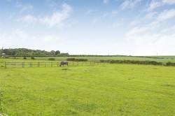 Images for Britwell Salome