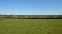Images for The Pastures, Bratton Clovelly, Okehampton