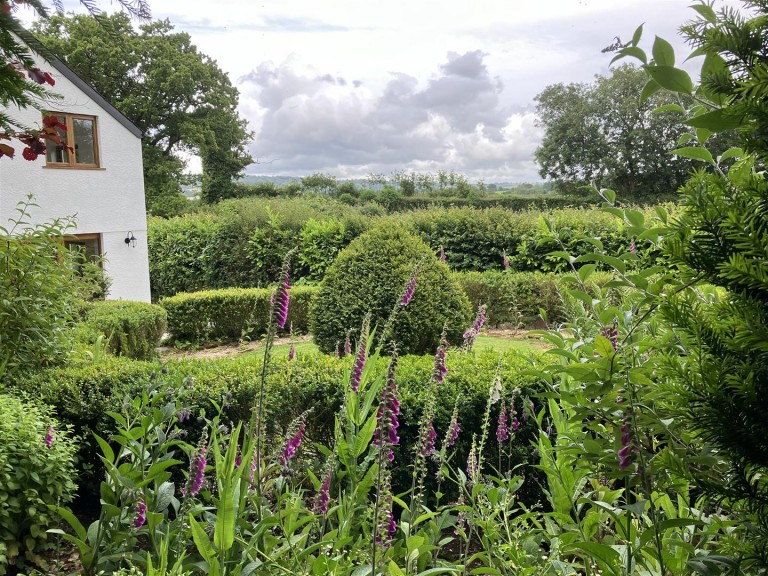 Images for Gaddon Down, Ashill