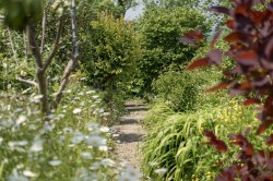 Images for Lyme Road, Axminster