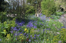 Images for Lyme Road, Axminster