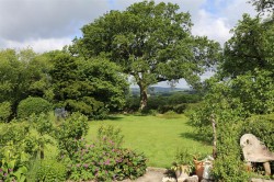 Images for Lyme Road, Axminster