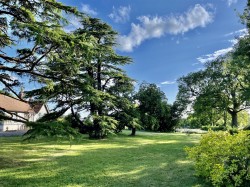 Images for Lyme Road, Axminster