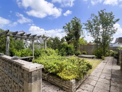 Images for South Molton