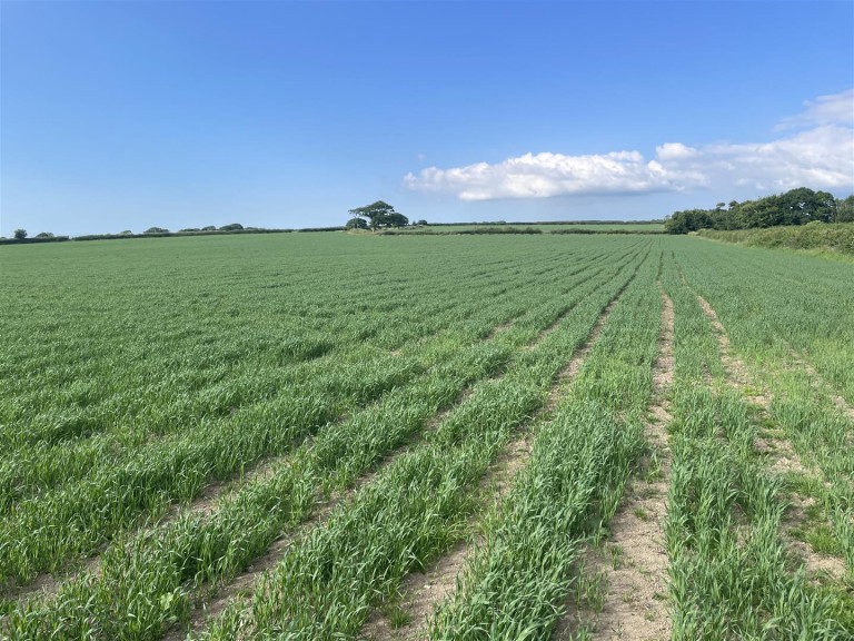 Images for Chulmleigh