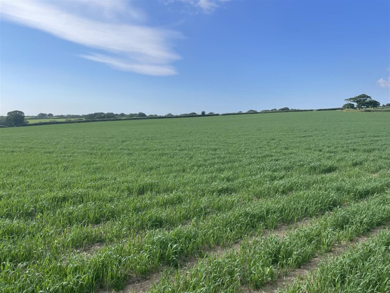 Images for Chulmleigh