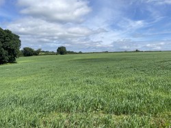 Images for Chulmleigh