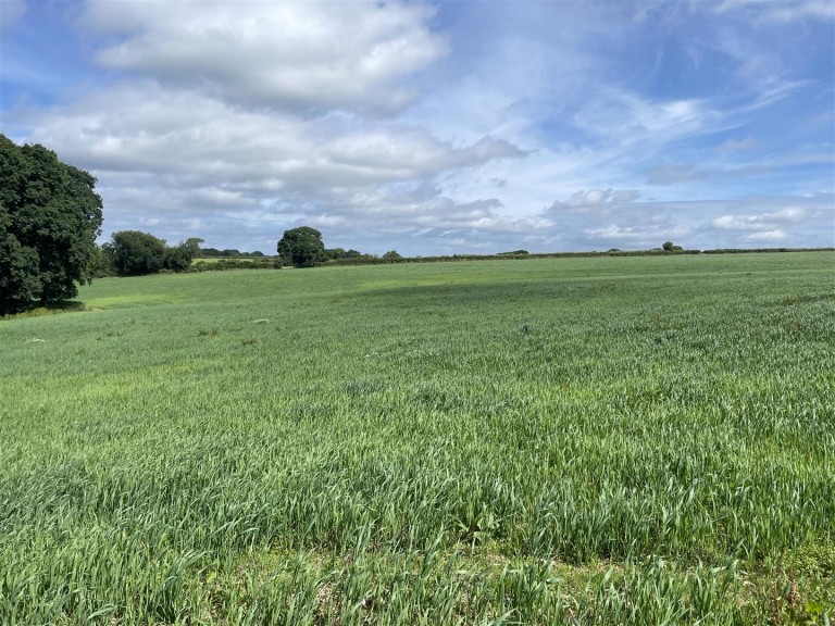 Images for Chulmleigh