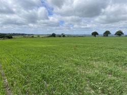 Images for Chulmleigh