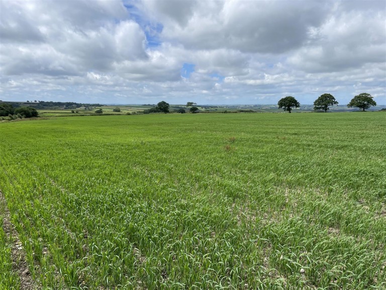 Images for Chulmleigh