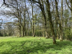 Images for Chulmleigh