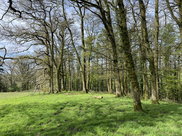 Images for Chulmleigh