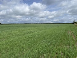 Images for Chulmleigh