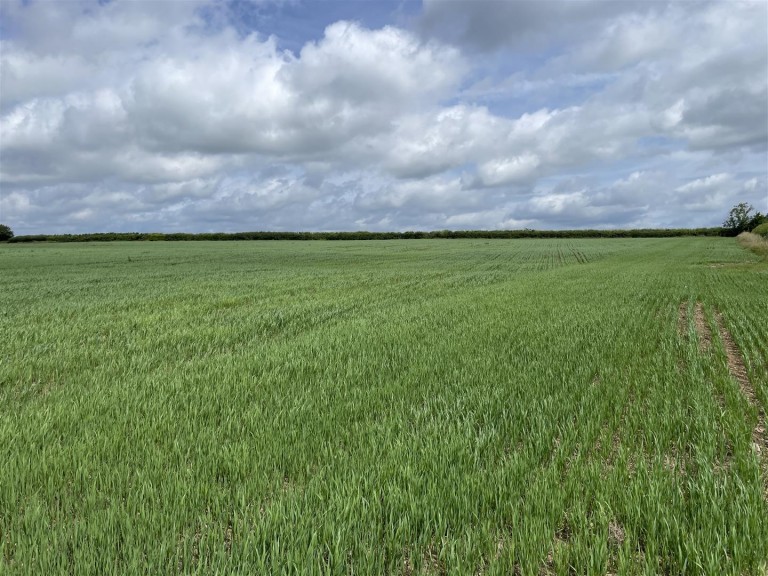 Images for Chulmleigh