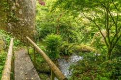 Images for Lustleigh, Devon