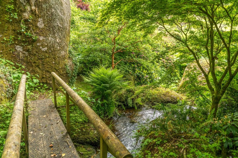 Images for Lustleigh, Devon