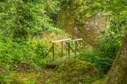 Images for Lustleigh, Devon