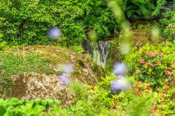 Images for Lustleigh, Devon