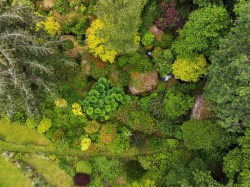 Images for Lustleigh, Devon