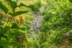 Images for Lustleigh, Devon