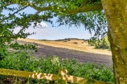 Images for East Budleigh, Budleigh Salterton