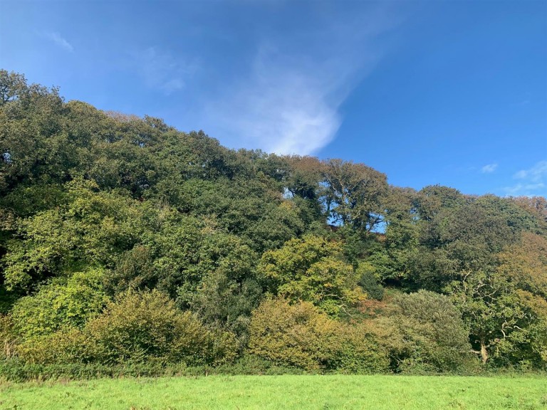 Images for Sidbury, Sidmouth