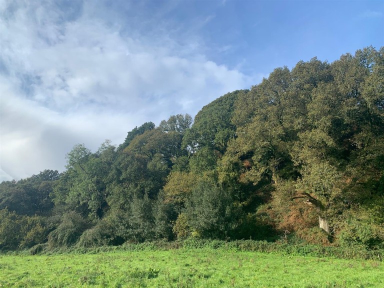 Images for Sidbury, Sidmouth