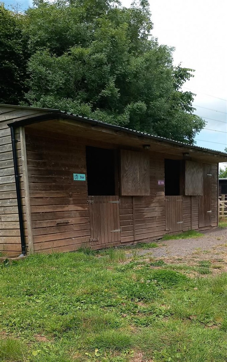 Images for Holywell Lake, Wellington