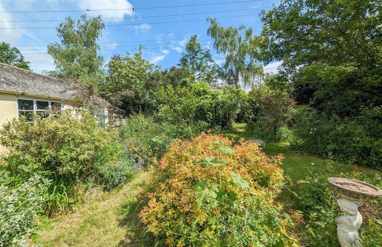 Images for The Street, Lidgate