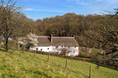 Click the photo for more details of Yeoford, Crediton