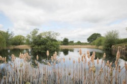 Images for Station Road, Wilburton, Ely