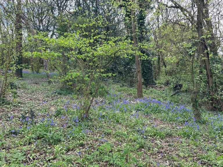 Images for Gurnard, Isle of Wight