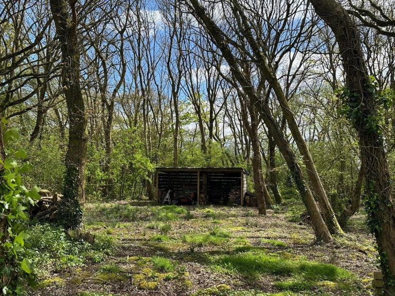 Images for Gurnard, Isle of Wight