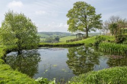 Images for Wheddon Cross, Minehead