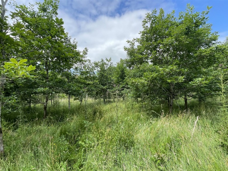 Click the photo for more details of High Bickington, Umberleigh