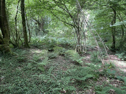 Click the photo for more details of High Bickington, Umberleigh