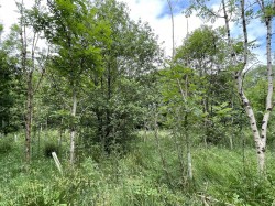 Images for High Bickington, Umberleigh