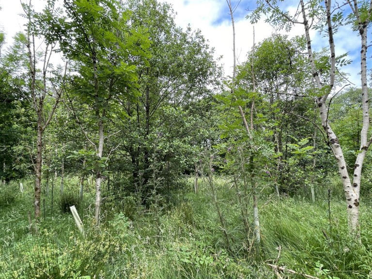 Images for High Bickington, Umberleigh