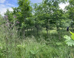 Images for High Bickington, Umberleigh