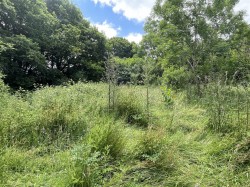 Images for High Bickington, Umberleigh