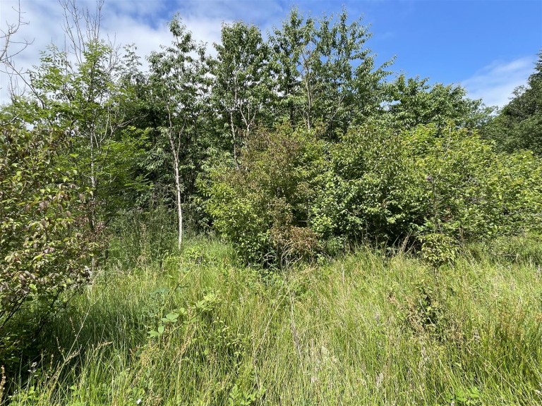 Images for High Bickington, Umberleigh