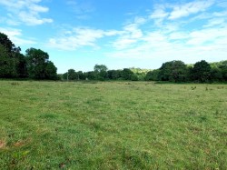 Images for Chudleigh, Newton Abbot