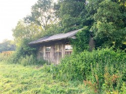Images for Chudleigh, Newton Abbot
