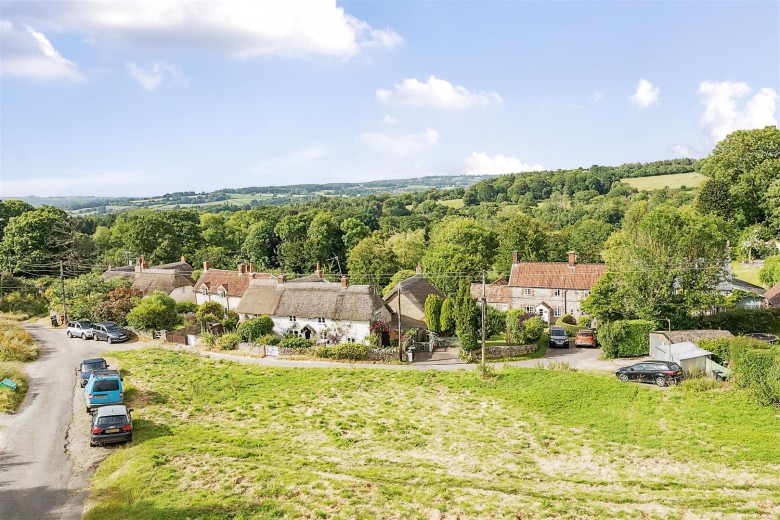 Click the photo for more details of Hewood, Chard