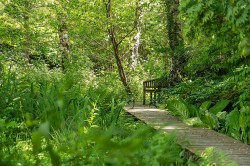 Images for Lower Ashton, Exeter