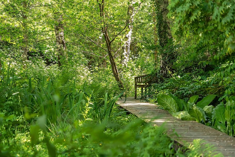 Images for Lower Ashton, Exeter