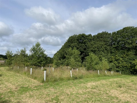 Click the photo for more details of Stoodleigh, Tiverton