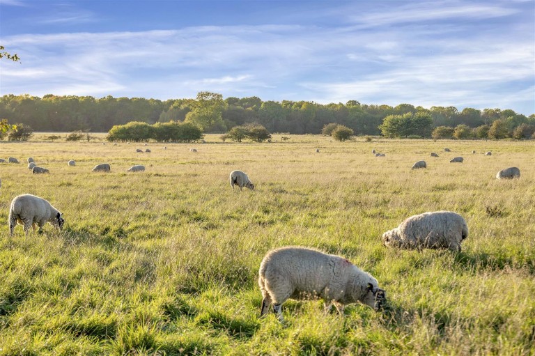 Images for Wolfhampcote, Rugby