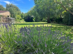 Images for Forsters Lane, Bridport