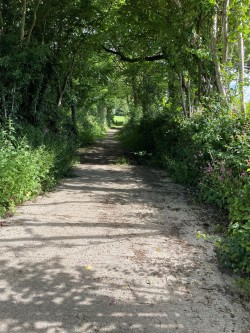 Images for Axtown Lane, Yelverton